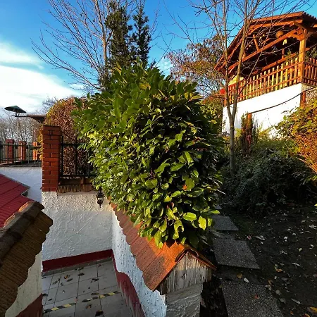 Apartment Alma Hof Vendeghaz Boldogasszonyfa