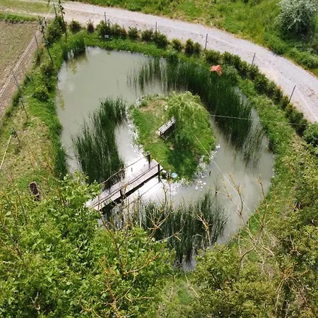 Alma Hof Vendeghaz