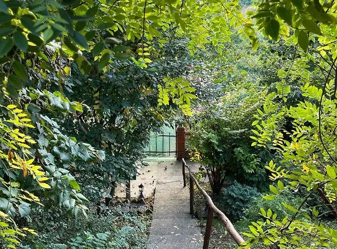 Alma Hof Apartamento